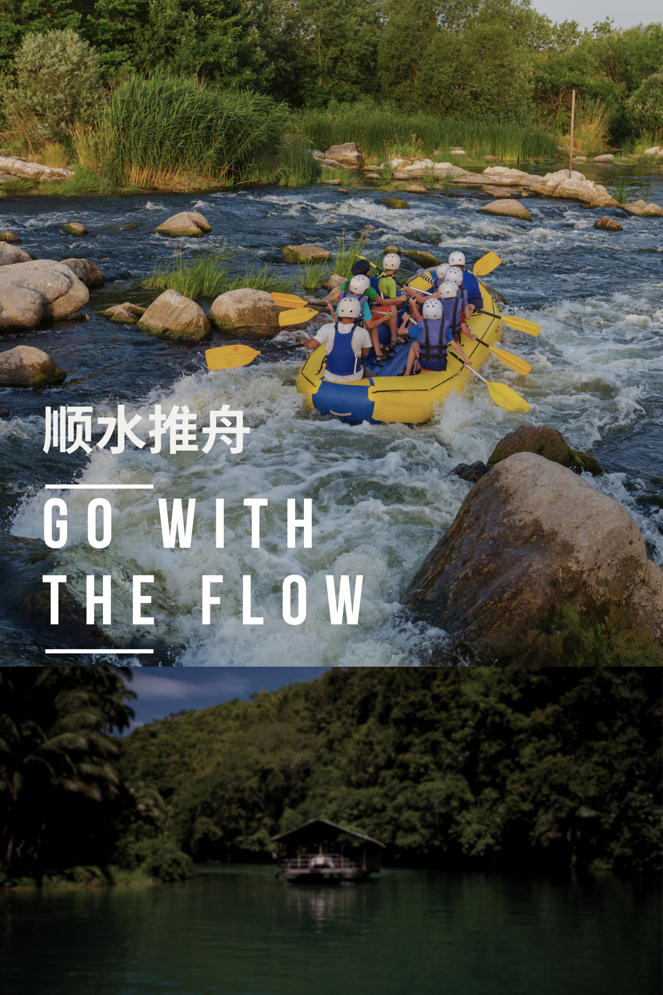 Royal Jelly Honey Capsules