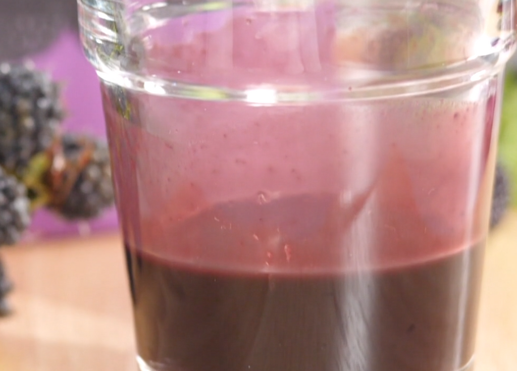 Mulberry juice puree